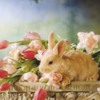 Flowers and bunny for Skylar