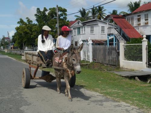 1-couple-on-donkey-cart