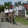 1-couple-on-donkey-cart