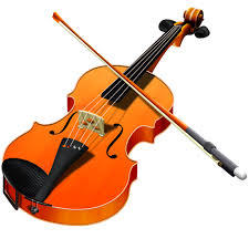 Image result for violin