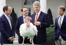 Image result for president pardons turkey
