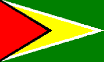 Image result for what is black signifies on Guyana flag