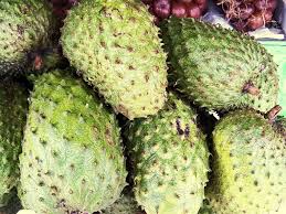 Soursop Nutrition Facts and Health Benefits
